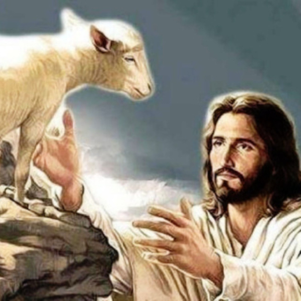 Advent - Ježíš přichází jako dobrý pastýř artwork