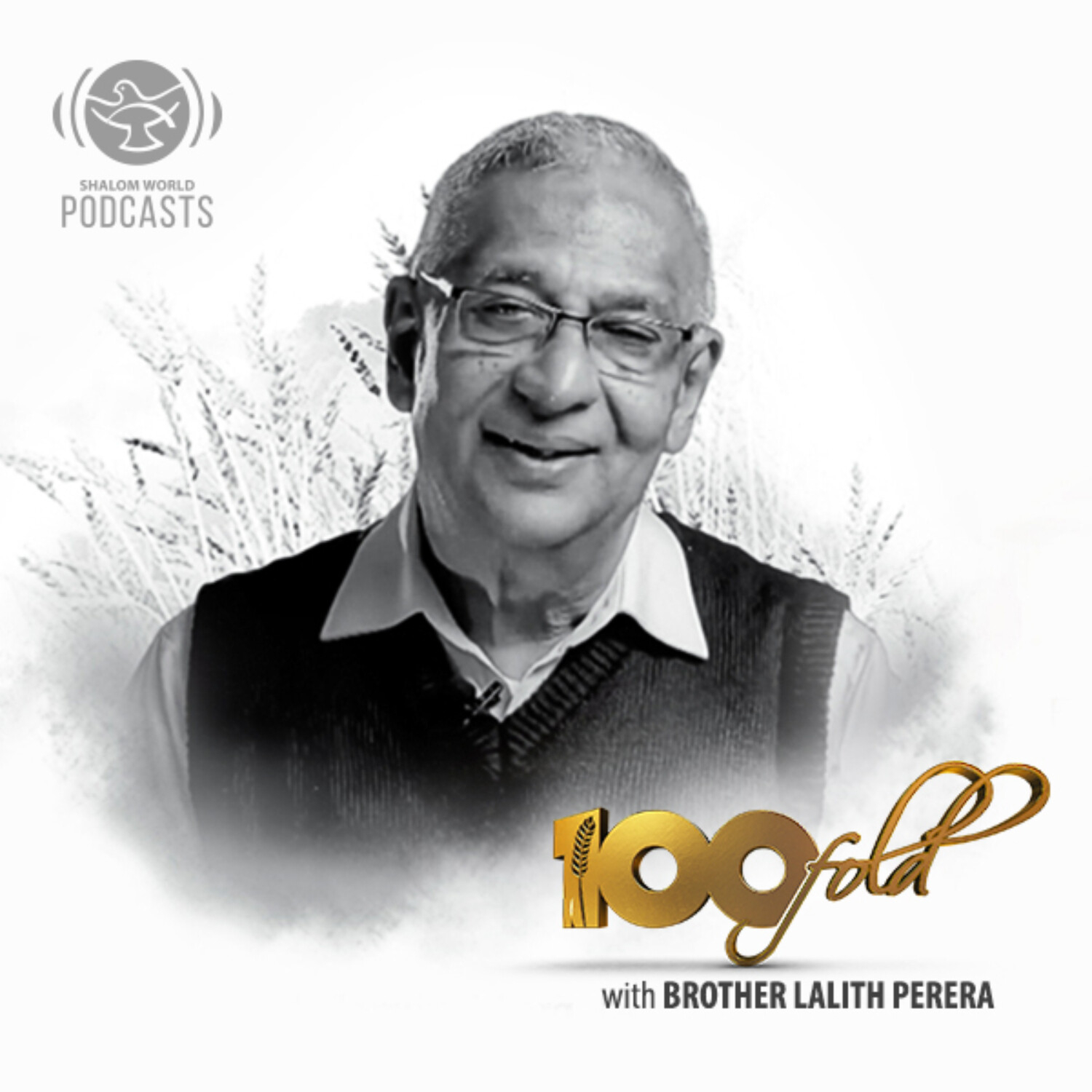 Shalom World - 100 Fold