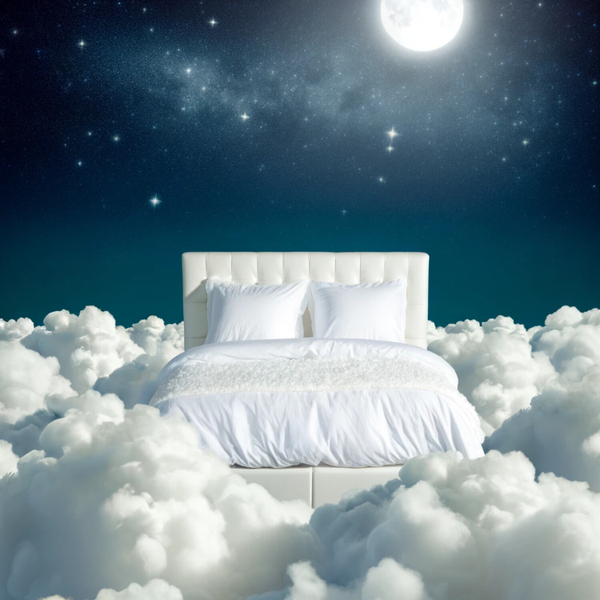 Sleep Ease artwork