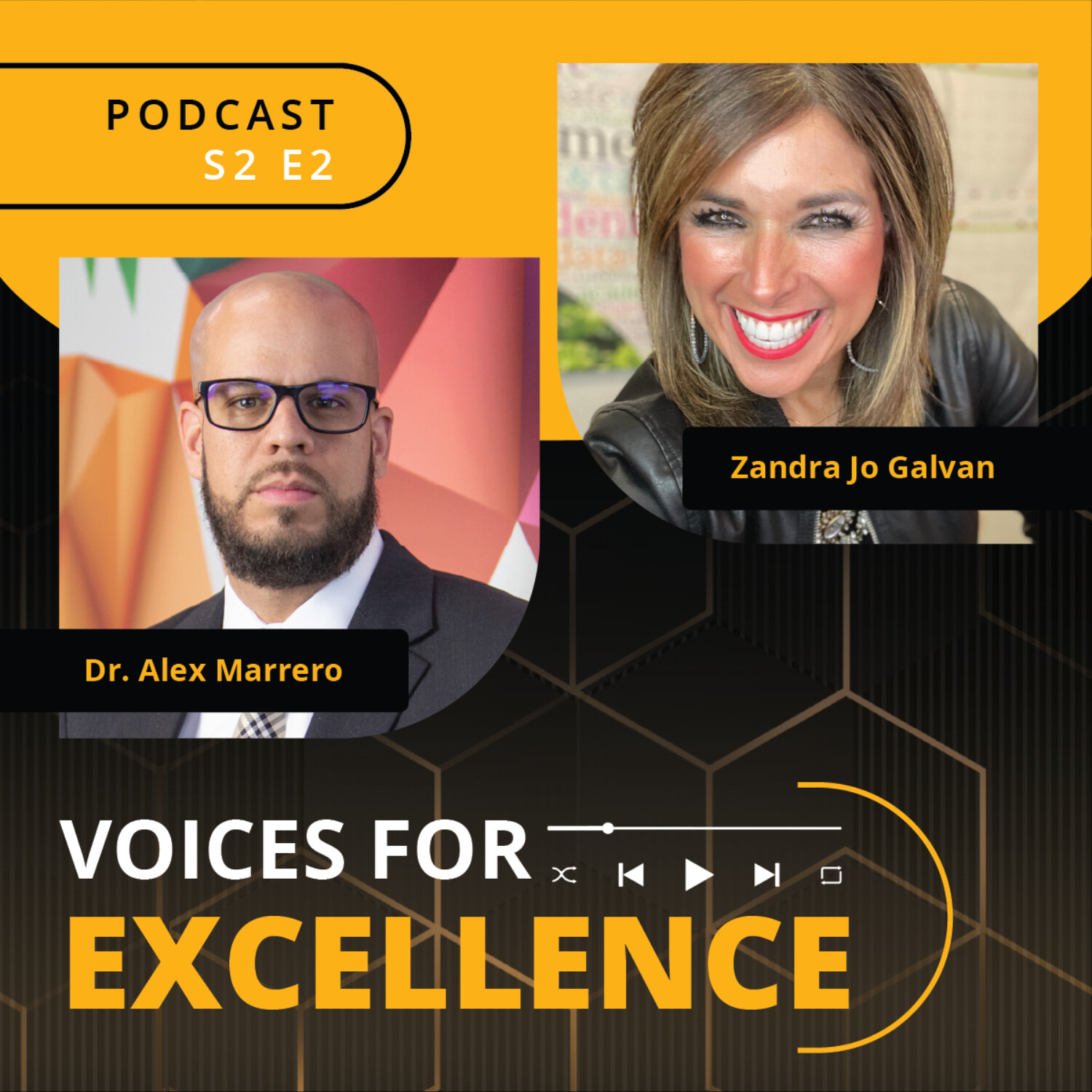 Voices for Excellence