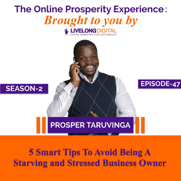 5 Smart Tips To Avoid Being A Starving and Stressed Business Owner artwork