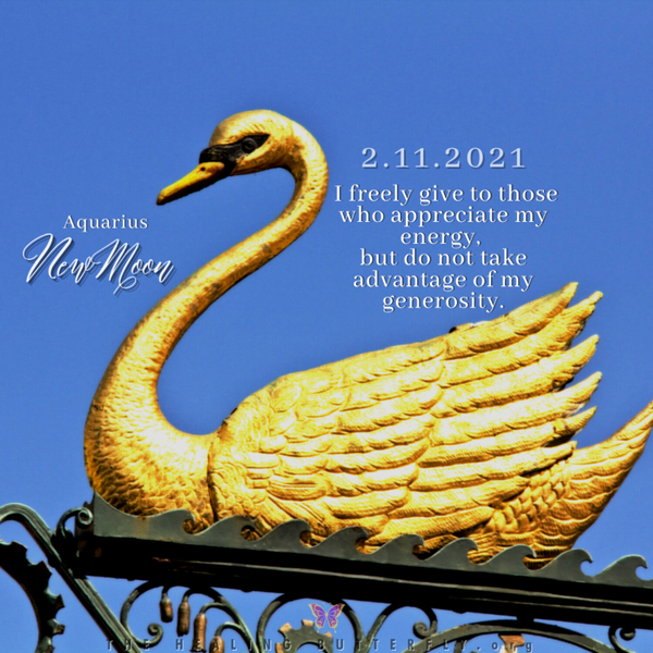 Ep. 117, 2.11.2021, New Moon-Today's Energy Update & Spiritual Guidance-Aquarius, Air, Golden Swan, Angel Number 1111, Celestite, 20-Aeon (Judgement) artwork
