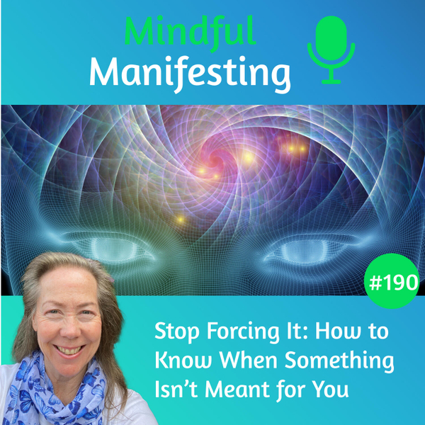 190: Stop Forcing It: How to Know When Something Isn’t Meant for You artwork