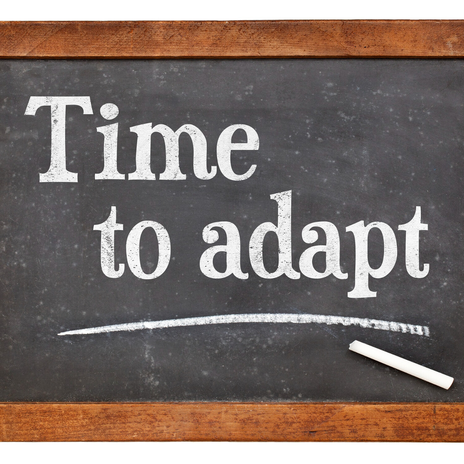 The Power Of Adaptability