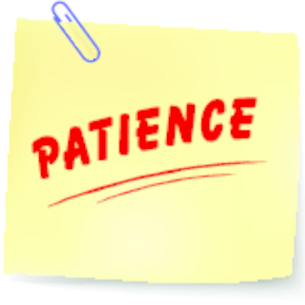 Four Excellent Reasons to Develop Patience artwork