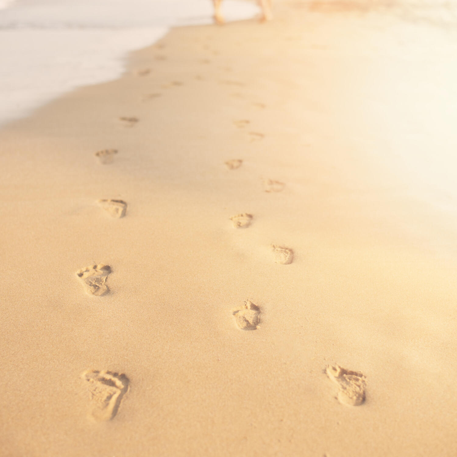 Ježíš je naší životní cestou a útočištěm