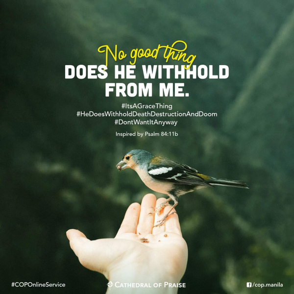 Psalm 84:11b- No Good Thing Does He Withold From Me artwork