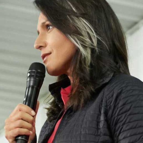 Tulsi Gabbard - Political Agenda artwork