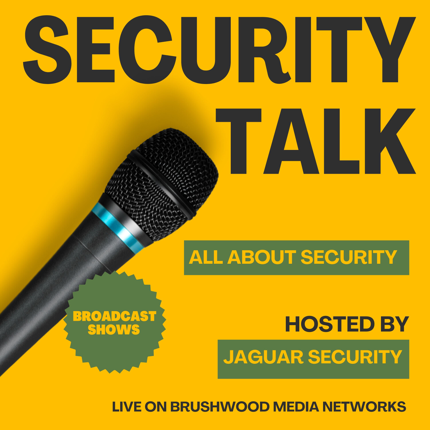 Security Talk with Maher Husseini and Mitzi Perdue