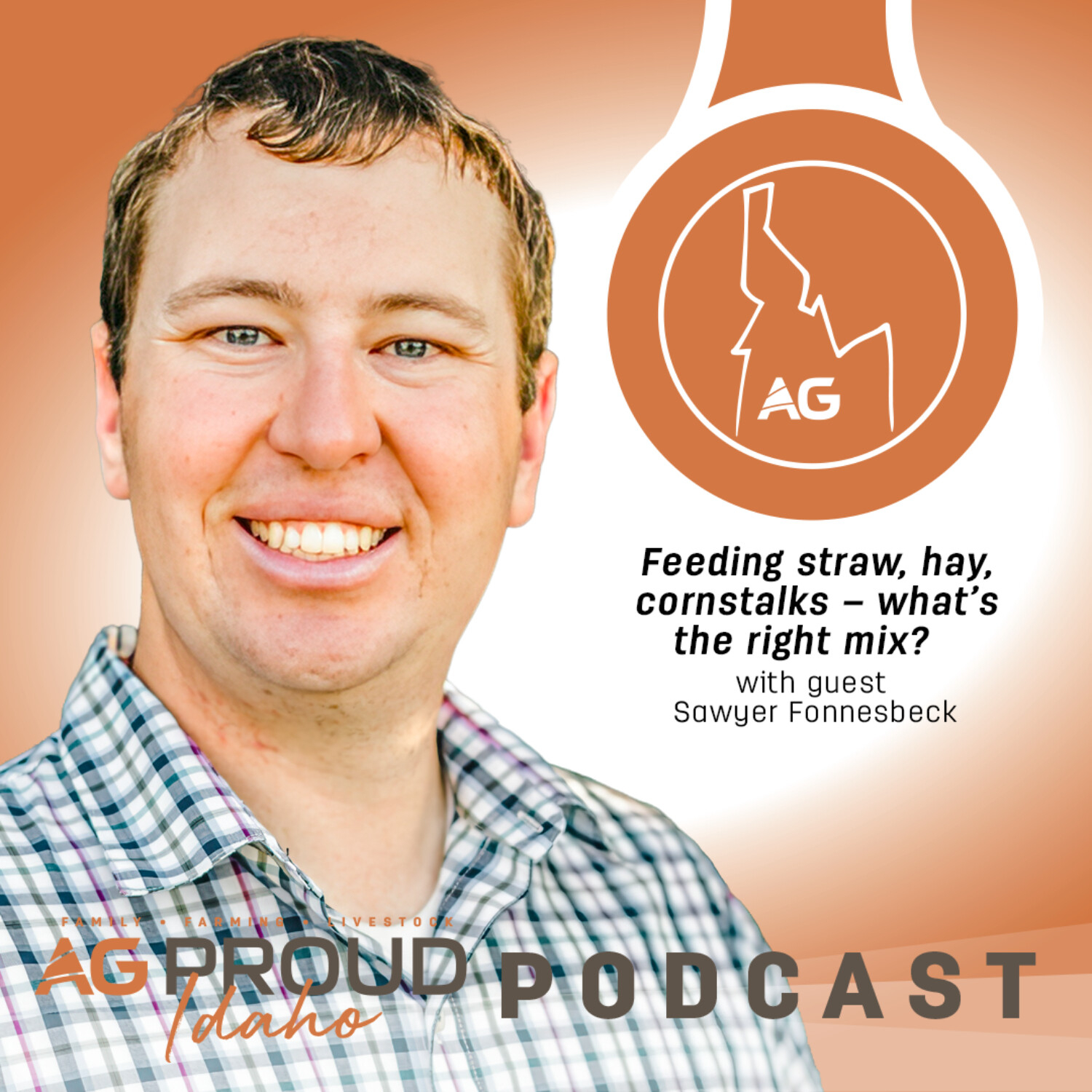 Feeding straw, hay, cornstalks – what’s the right mix?
