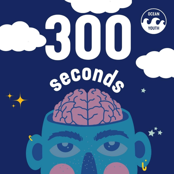 300 Seconds Podcast  artwork