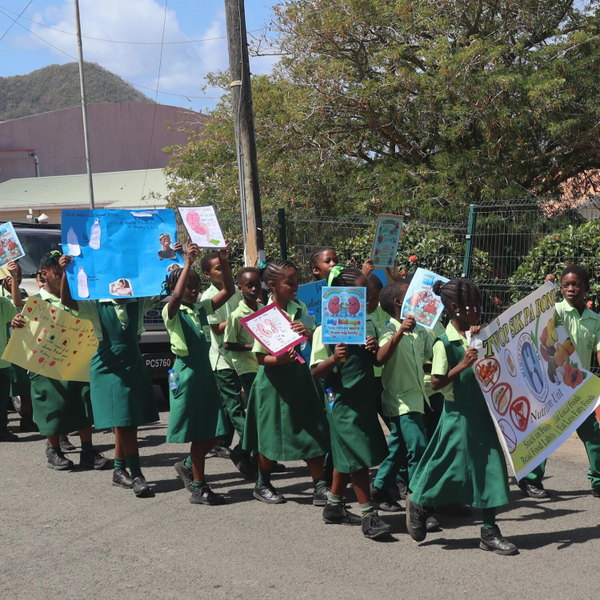 Healthy Eating and Active Lifestyles Promoted during Walk by Gros-Islet Primary School artwork
