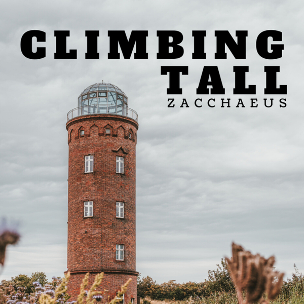 Climbing Tall (Zacchaeus) S2:E7 artwork