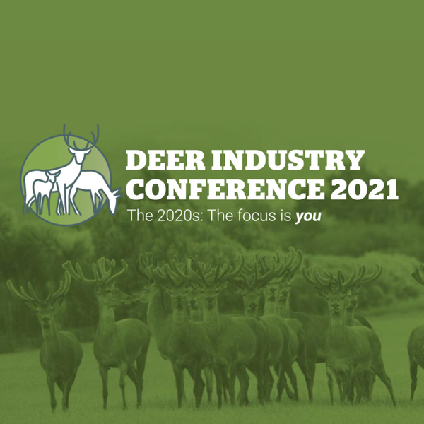 Dr Lindsay Fung and Phil McKenzie | Deer Industry Conference 2021 artwork