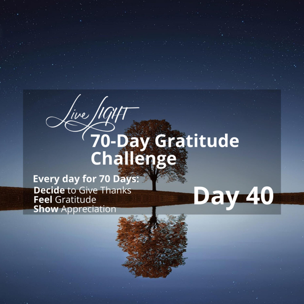 Gratitude Challenge Day 40 - Daily Thanks artwork
