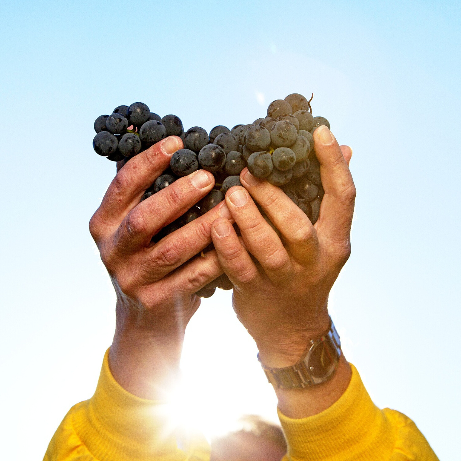 Poděkujme Bohu za jeho dary