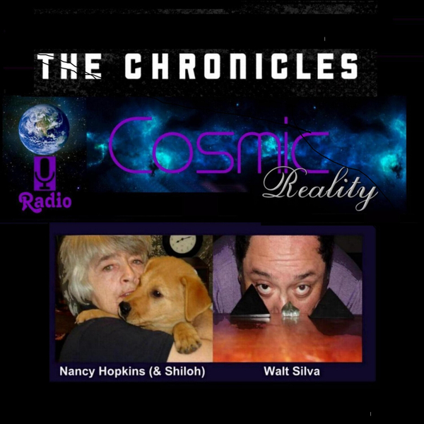 "COSMIC REALITY CHRONICLES" 5/10/2016 - Angels and Near Death Experience artwork