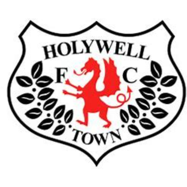 Post Match Interview Danny Sullivan Newtown 2 HOLYWELL TOWN 2 artwork