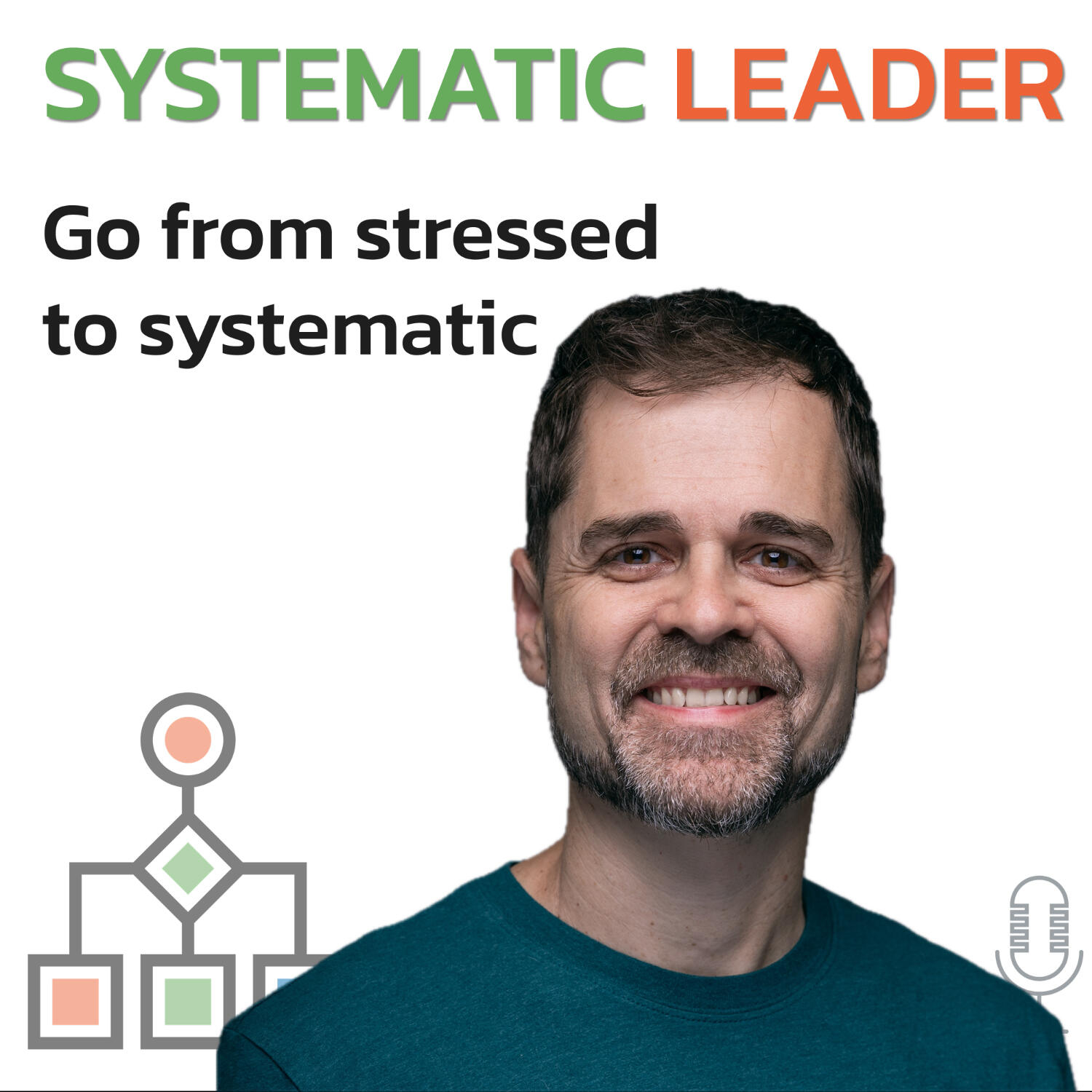 Systematic Leader