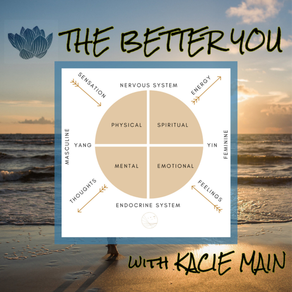 Understanding & Addressing Our Holistic Self with Dr. Erica Matluck artwork