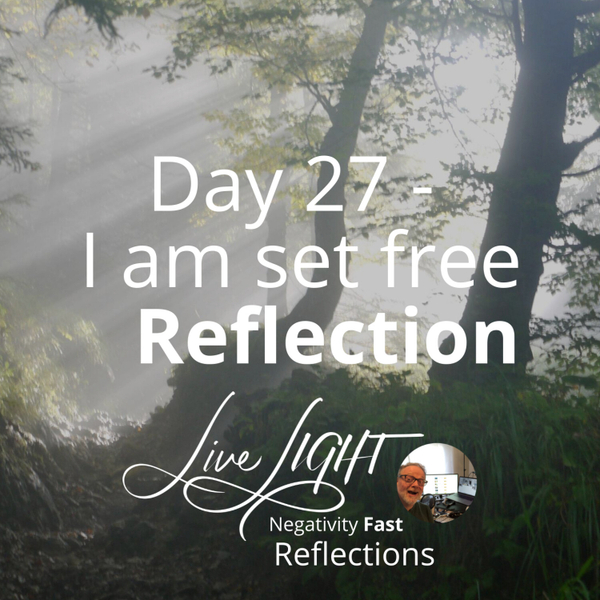 Negativity Fast Reflection - Day 27 - I Am Set Free artwork