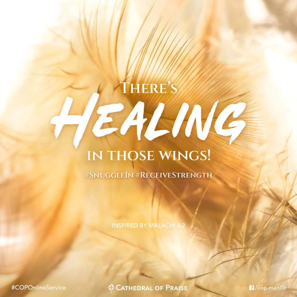Malachi 4:2- There's Healing in Those Wings! artwork