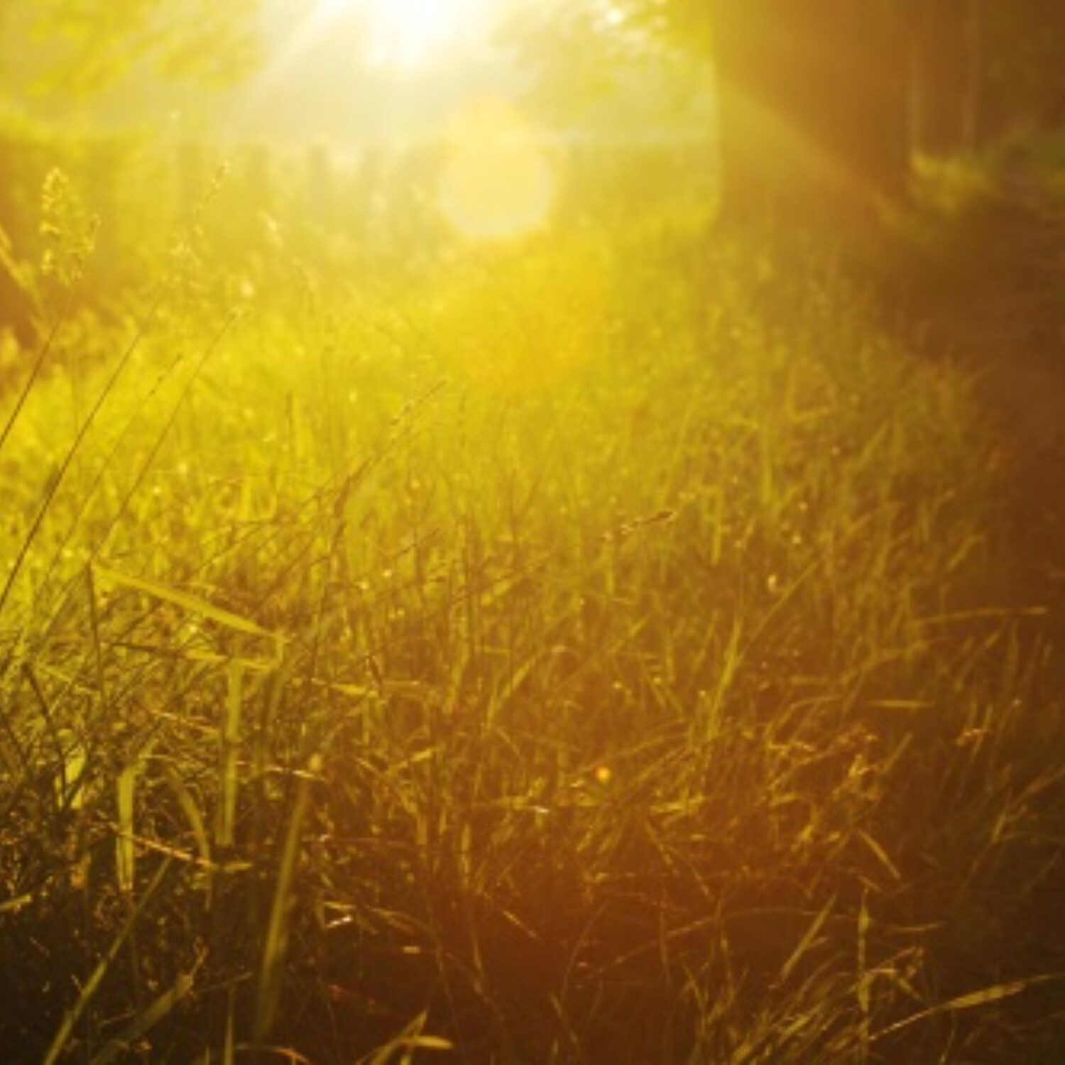 Nechejme Bohu svobodu v našich modlitbách