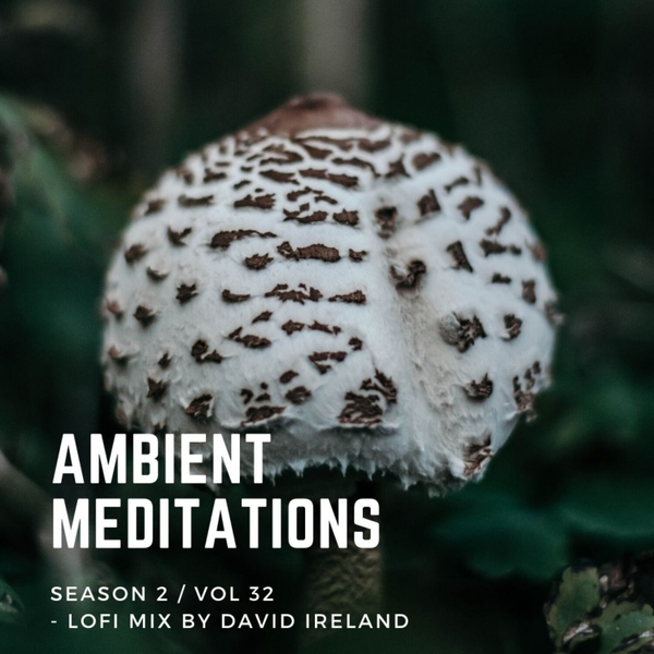 Magnetic Magazine Presents: Ambient Meditations Season 2 -  Vol 32 - LoFi Mix By David Ireland artwork