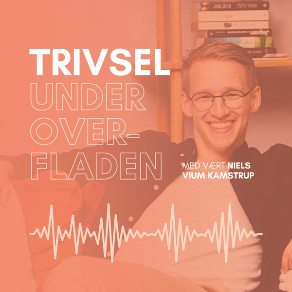 Trivsel Under Overfladen artwork