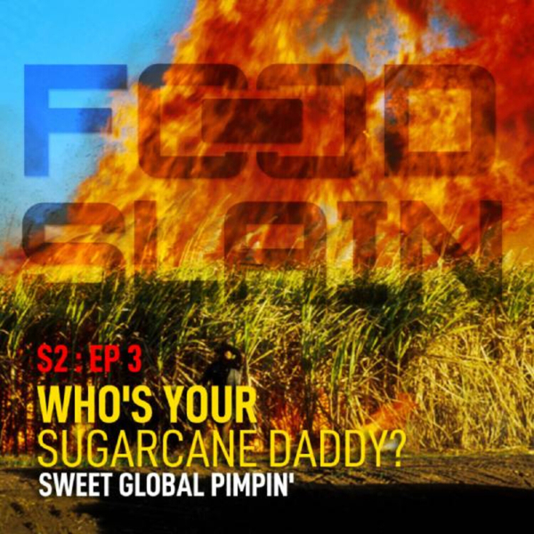 Who's Your Sugarcane Daddy? artwork
