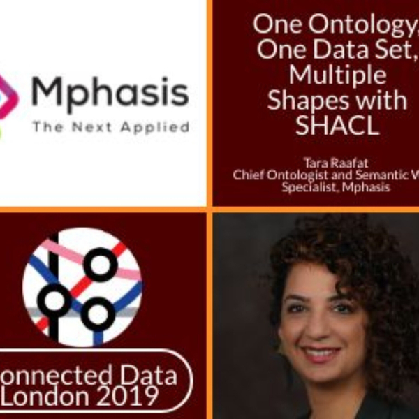 One Ontology, One Data Set, Multiple Shapes with SHACL | Tara Raafat artwork