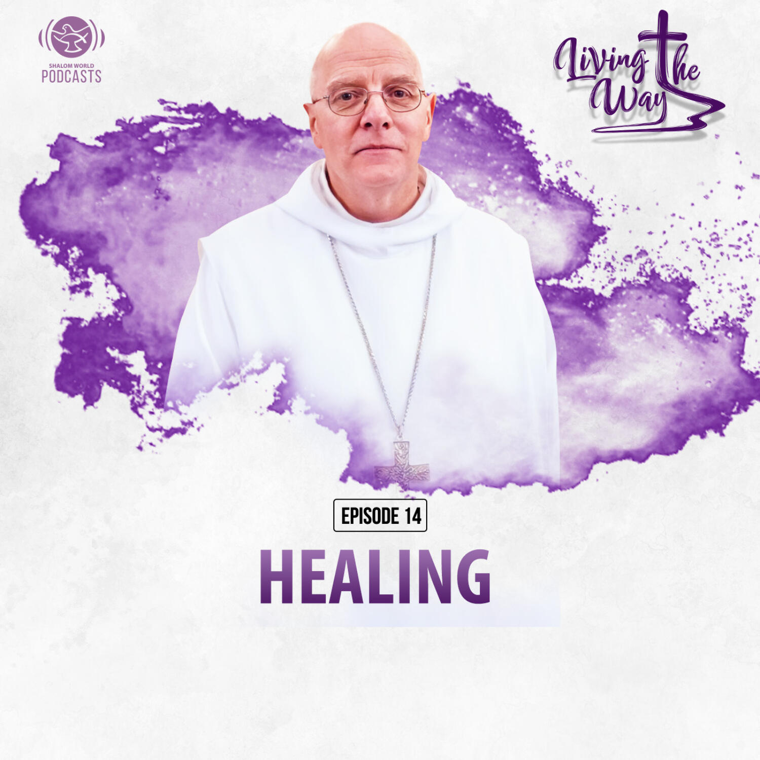 Living the Way | EP 14 - Healing | Dom Mark-Ephrem M. Nolan, OSB episode artwork