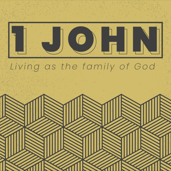 1 John | Accepting God's Testimony artwork
