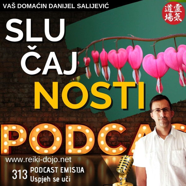 Slučajnosti ep313 artwork