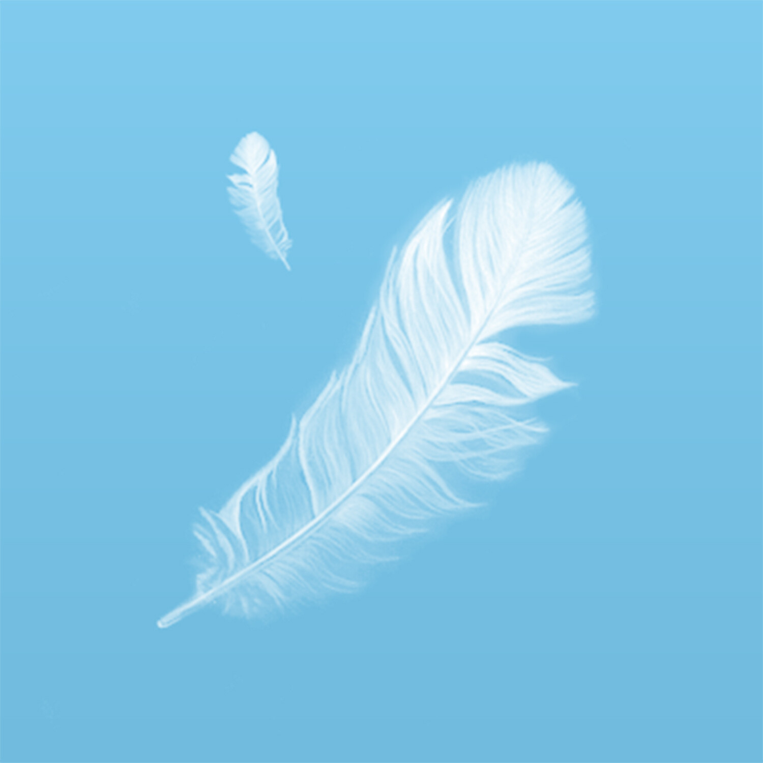 Read Book Briefs Podcast