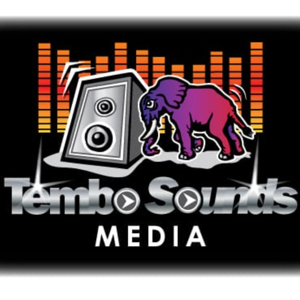 @TemboSounds #609 B - Afro Fusion artwork