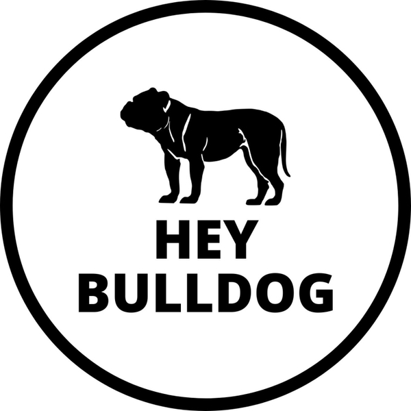 Hey Bulldog - Power pop con Weezer 180517HEYBULLDOG artwork
