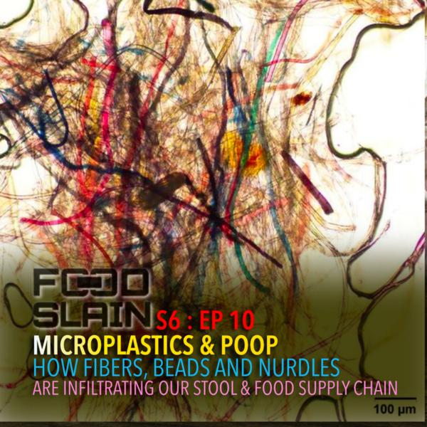 Microplastics & Poop : How Fibers, Beads and Nurdles are Infiltrating our Food Supply & Bodies artwork