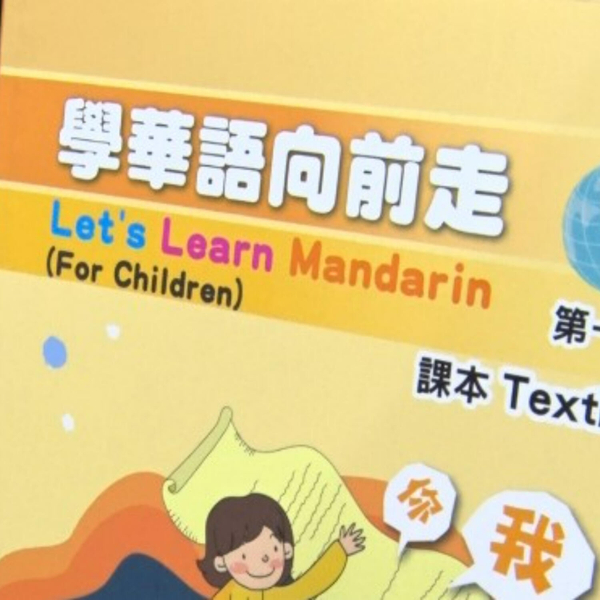 Vieux Fort Secondary Joins Taiwanese supported Mandarin Pilot Programme artwork