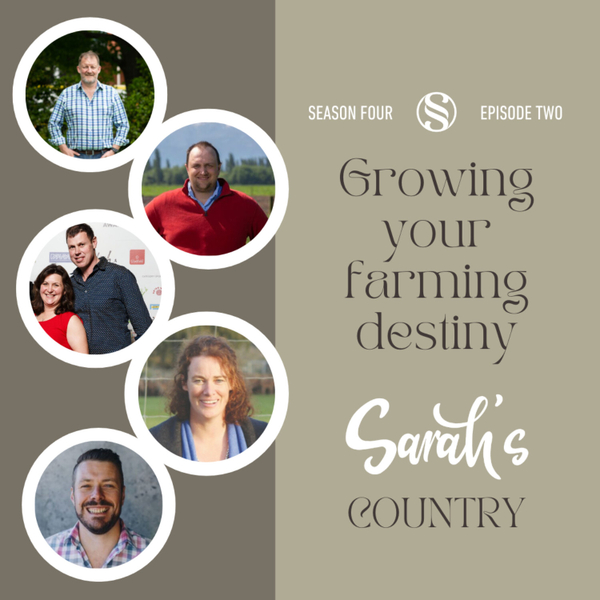 PANEL: Growing your farming destiny (recorded at Leeston event) artwork