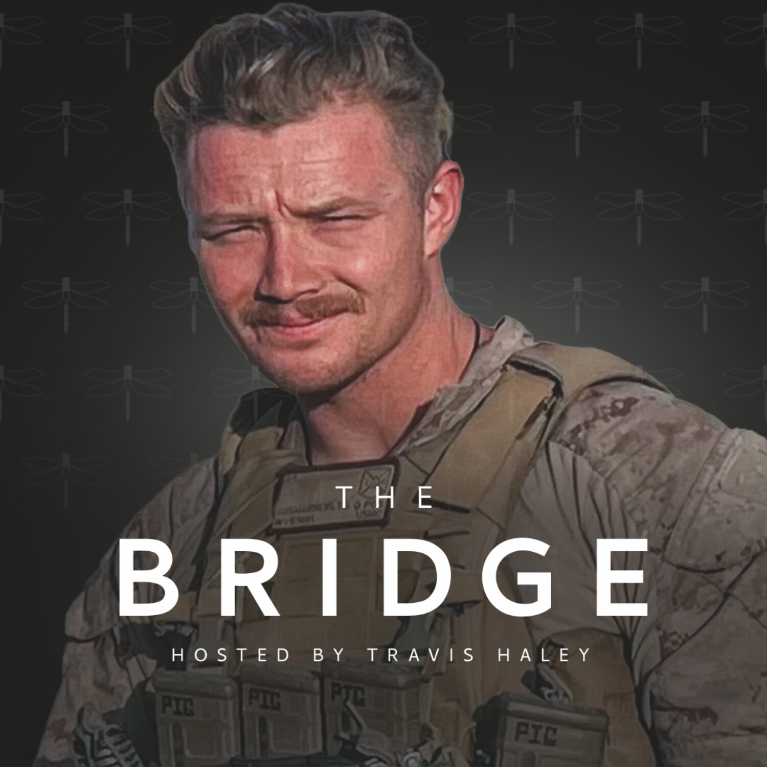 The Bridge