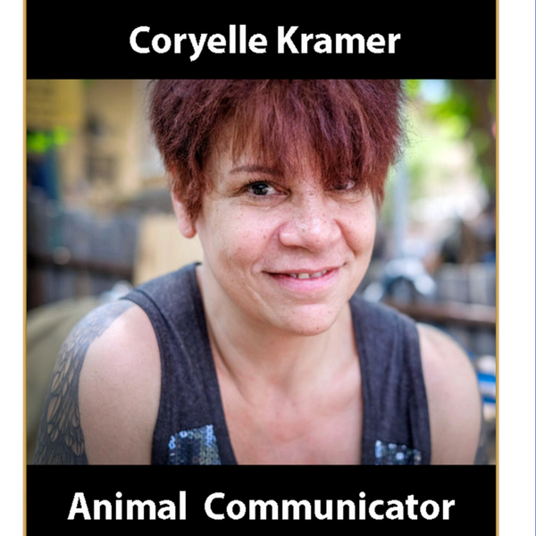 Coryelle Kramer Knows How to Talk to Our Animals artwork