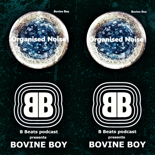 B Beats Presents Bovine Boy: A sublime electronica mix with a selection of tracks from his forth coming album Organised Noise. artwork