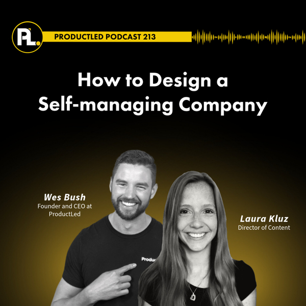 How to Design a Self- Managing Company artwork
