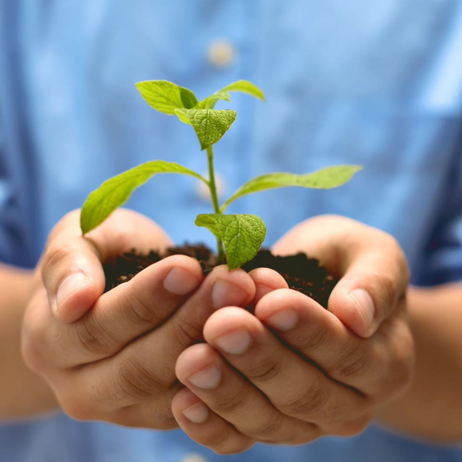 Dorůst do dětské důvěry k Bohu