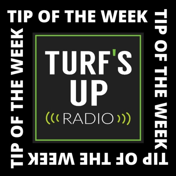 Turf's Up Radio | Tip of the Week artwork
