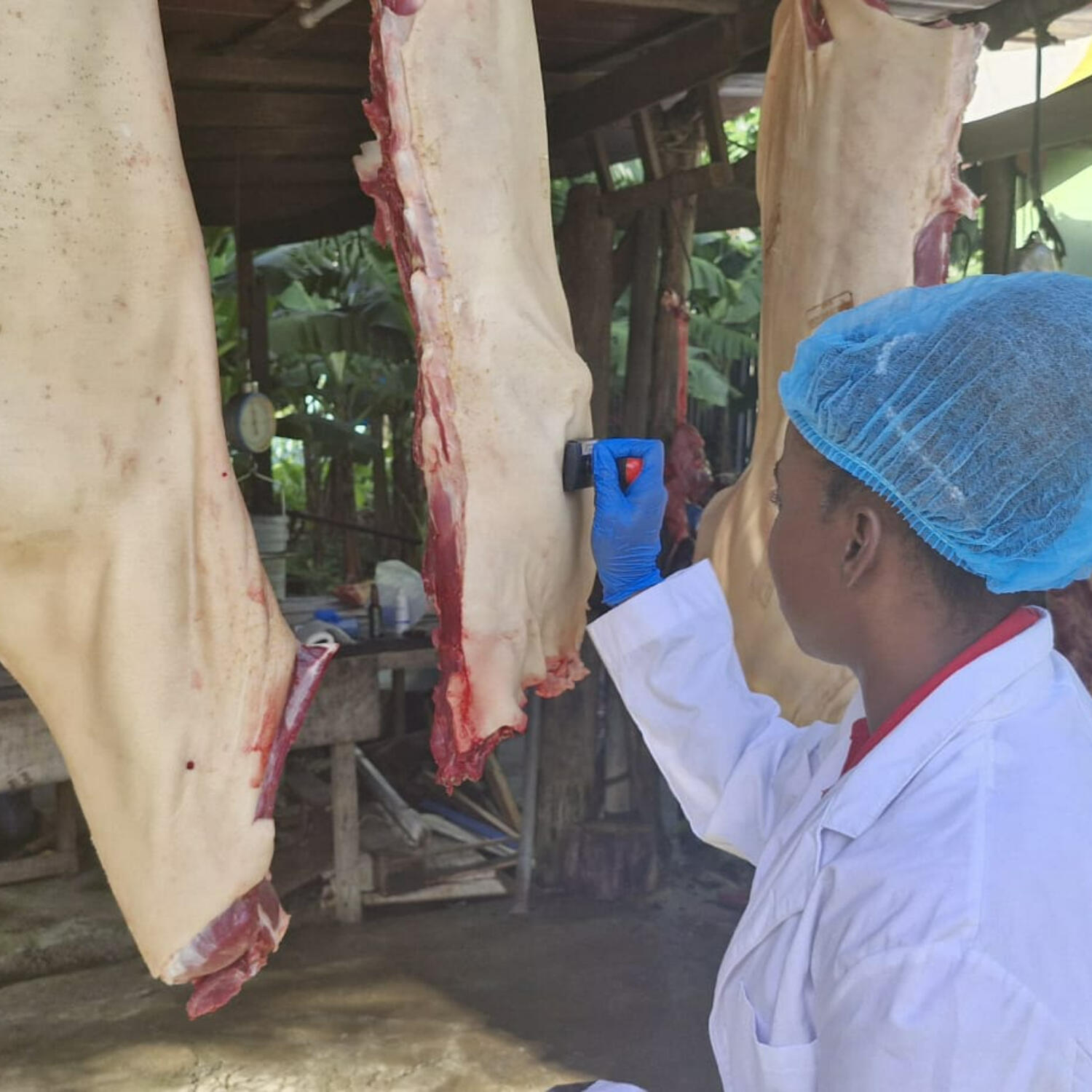 Guidelines for Butchers & Public on Slaughtering of Meats during the Festive Season episode artwork