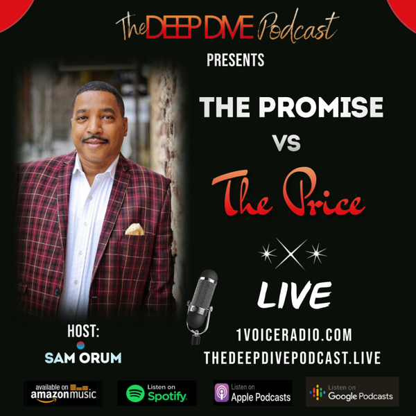 The Promise Vs. The Price artwork