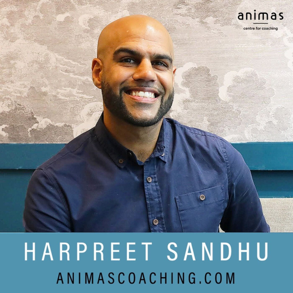 Harpreet Sandhu - Burnout to Bliss, Happiness TV and Success and Fulfilment Coaching artwork