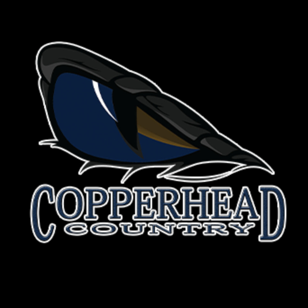 Copperhead Country replays artwork